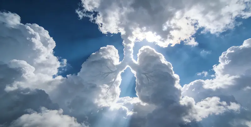 潮州肺癌12基因ctDNA突变检测(血液）图片1