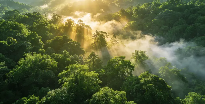 潮州肺癌68基因检测图片1